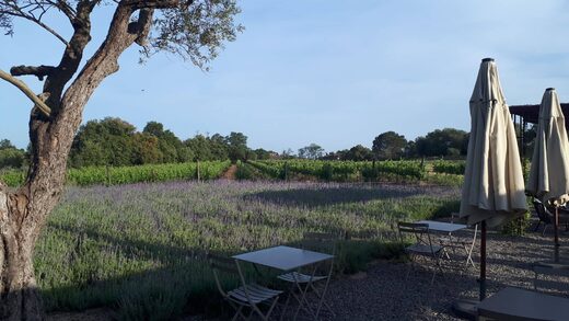 Une expérience authentique au cœur de la Costa Brava